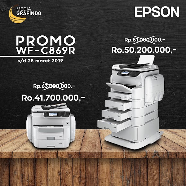 Printer Epson Ecosolvent